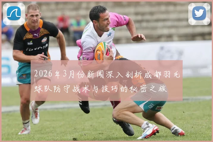 2026年3月份新闻深入剖析成都羽毛球队防守战术与技巧的秘密之旅